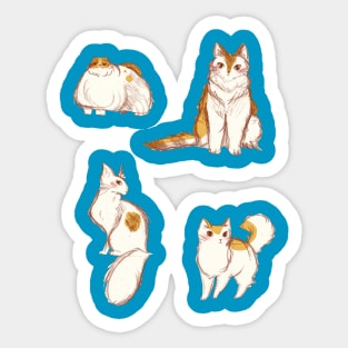 Cute Fluffy Cats Sticker